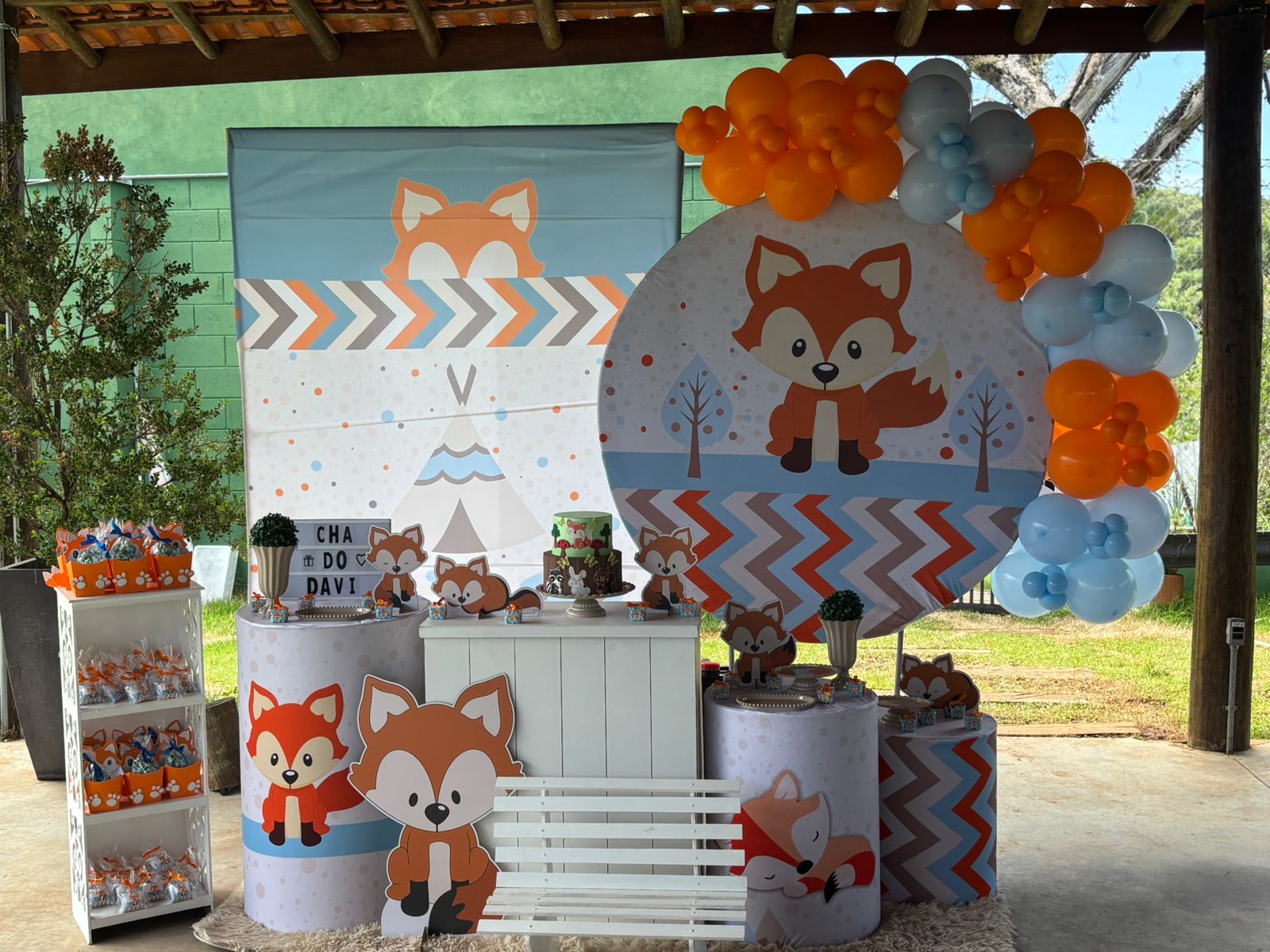 Chá do Davi — Raposinha